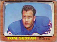 1966Topps28Sestak250h.jpg (30173 bytes)