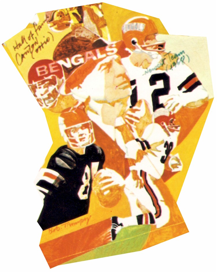 BengalsCollageSmall.jpg (140604 bytes)