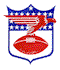 MajorLeagueFootball70hVer2.gif (2414 bytes)